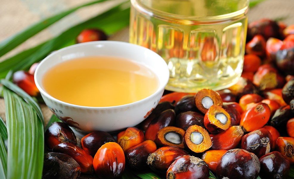 aceite de palma en la salud
